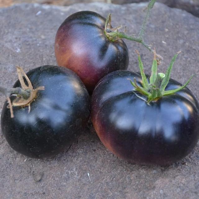 Black Beauty Tomato