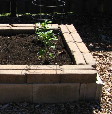 Brick Raised Bed