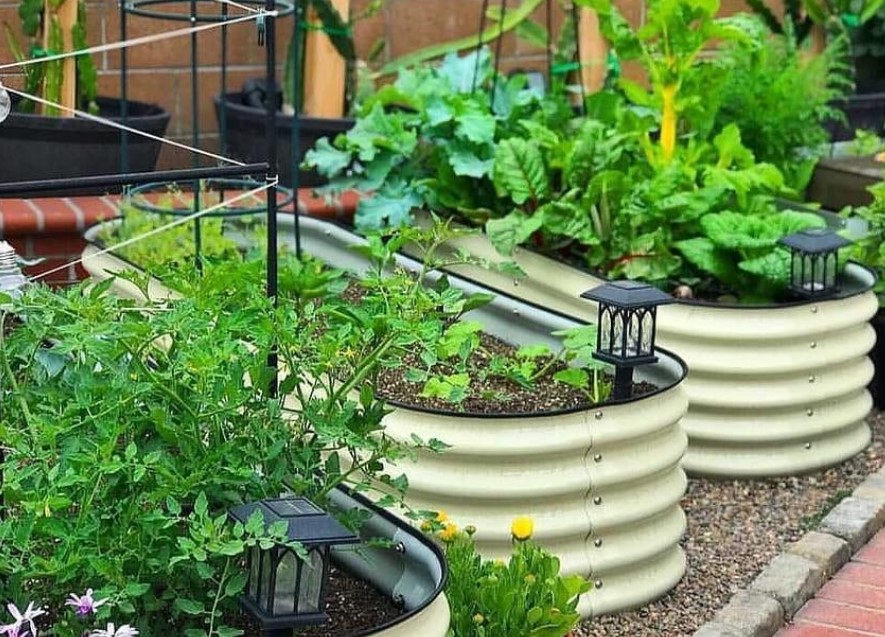 Metal Raised Beds