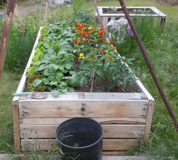 Wooden Raised Bed