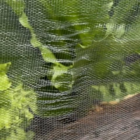 Garden Pest Netting