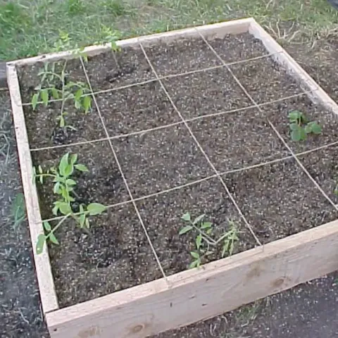 Square Foot Gardening