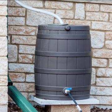 Rainbarrel